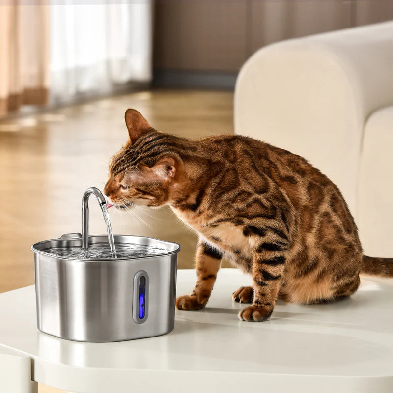Elyviana Smart Stainless Steel Pet Fountain (Upsell)