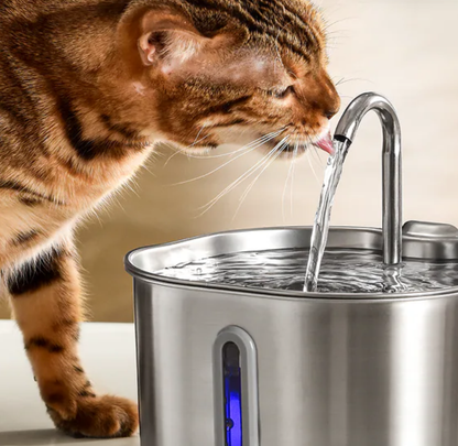 Elyviana Smart Stainless Steel Pet Fountain (Upsell)