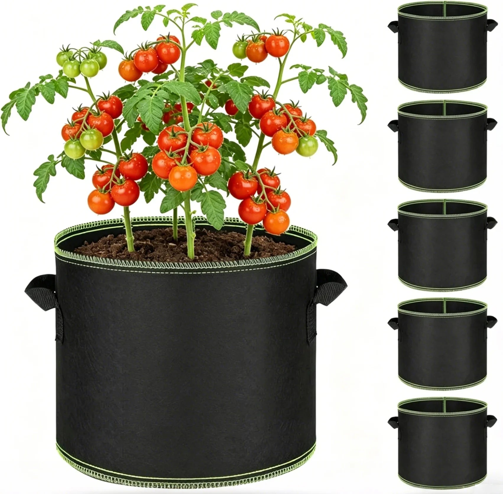 5 Gallon / BUY 1 (5 Pack)